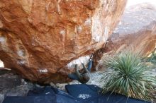 Bouldering in Hueco Tanks on 12/30/2018 with Blue Lizard Climbing and Yoga

Filename: SRM_20181230_1625070.jpg
Aperture: f/4.5
Shutter Speed: 1/200
Body: Canon EOS-1D Mark II
Lens: Canon EF 16-35mm f/2.8 L