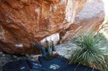 Bouldering in Hueco Tanks on 12/30/2018 with Blue Lizard Climbing and Yoga

Filename: SRM_20181230_1625200.jpg
Aperture: f/4.5
Shutter Speed: 1/200
Body: Canon EOS-1D Mark II
Lens: Canon EF 16-35mm f/2.8 L