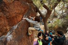 Bouldering in Hueco Tanks on 12/31/2018 with Blue Lizard Climbing and Yoga

Filename: SRM_20181231_1758240.jpg
Aperture: f/2.8
Shutter Speed: 1/125
Body: Canon EOS-1D Mark II
Lens: Canon EF 16-35mm f/2.8 L