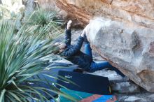 Bouldering in Hueco Tanks on 01/01/2019 with Blue Lizard Climbing and Yoga

Filename: SRM_20190101_1334590.jpg
Aperture: f/2.8
Shutter Speed: 1/250
Body: Canon EOS-1D Mark II
Lens: Canon EF 50mm f/1.8 II