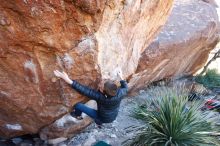 Bouldering in Hueco Tanks on 01/01/2019 with Blue Lizard Climbing and Yoga

Filename: SRM_20190101_1343060.jpg
Aperture: f/4.5
Shutter Speed: 1/250
Body: Canon EOS-1D Mark II
Lens: Canon EF 16-35mm f/2.8 L