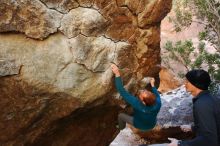 Bouldering in Hueco Tanks on 01/05/2019 with Blue Lizard Climbing and Yoga

Filename: SRM_20190105_1321000.jpg
Aperture: f/4.0
Shutter Speed: 1/200
Body: Canon EOS-1D Mark II
Lens: Canon EF 16-35mm f/2.8 L