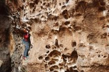 Bouldering in Hueco Tanks on 01/06/2019 with Blue Lizard Climbing and Yoga

Filename: SRM_20190106_1140390.jpg
Aperture: f/3.2
Shutter Speed: 1/100
Body: Canon EOS-1D Mark II
Lens: Canon EF 50mm f/1.8 II