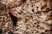 Bouldering in Hueco Tanks on 01/06/2019 with Blue Lizard Climbing and Yoga

Filename: SRM_20190106_1202220.jpg
Aperture: f/4.0
Shutter Speed: 1/80
Body: Canon EOS-1D Mark II
Lens: Canon EF 16-35mm f/2.8 L