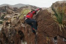 Bouldering in Hueco Tanks on 01/06/2019 with Blue Lizard Climbing and Yoga

Filename: SRM_20190106_1312300.jpg
Aperture: f/4.0
Shutter Speed: 1/800
Body: Canon EOS-1D Mark II
Lens: Canon EF 50mm f/1.8 II