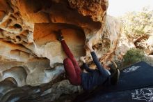 Bouldering in Hueco Tanks on 01/12/2019 with Blue Lizard Climbing and Yoga

Filename: SRM_20190112_1106001.jpg
Aperture: f/7.1
Shutter Speed: 1/200
Body: Canon EOS-1D Mark II
Lens: Canon EF 16-35mm f/2.8 L