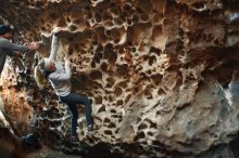 Bouldering in Hueco Tanks on 01/13/2019 with Blue Lizard Climbing and Yoga

Filename: SRM_20190113_1617480.jpg
Aperture: f/2.2
Shutter Speed: 1/80
Body: Canon EOS-1D Mark II
Lens: Canon EF 50mm f/1.8 II