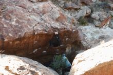 Bouldering in Hueco Tanks on 01/14/2019 with Blue Lizard Climbing and Yoga

Filename: SRM_20190114_1113300.jpg
Aperture: f/2.8
Shutter Speed: 1/250
Body: Canon EOS-1D Mark II
Lens: Canon EF 50mm f/1.8 II