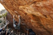 Bouldering in Hueco Tanks on 01/14/2019 with Blue Lizard Climbing and Yoga

Filename: SRM_20190114_1101190.jpg
Aperture: f/4.0
Shutter Speed: 1/250
Body: Canon EOS-1D Mark II
Lens: Canon EF 50mm f/1.8 II