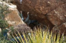 Bouldering in Hueco Tanks on 01/14/2019 with Blue Lizard Climbing and Yoga

Filename: SRM_20190114_1645330.jpg
Aperture: f/3.5
Shutter Speed: 1/320
Body: Canon EOS-1D Mark II
Lens: Canon EF 50mm f/1.8 II