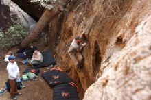 Bouldering in Hueco Tanks on 01/18/2019 with Blue Lizard Climbing and Yoga

Filename: SRM_20190118_1246180.jpg
Aperture: f/4.0
Shutter Speed: 1/125
Body: Canon EOS-1D Mark II
Lens: Canon EF 16-35mm f/2.8 L