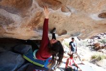 Bouldering in Hueco Tanks on 01/19/2019 with Blue Lizard Climbing and Yoga

Filename: SRM_20190119_1218140.jpg
Aperture: f/3.2
Shutter Speed: 1/1000
Body: Canon EOS-1D Mark II
Lens: Canon EF 16-35mm f/2.8 L