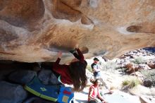 Bouldering in Hueco Tanks on 01/19/2019 with Blue Lizard Climbing and Yoga

Filename: SRM_20190119_1219220.jpg
Aperture: f/3.5
Shutter Speed: 1/1000
Body: Canon EOS-1D Mark II
Lens: Canon EF 16-35mm f/2.8 L