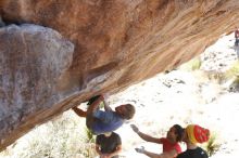 Bouldering in Hueco Tanks on 01/19/2019 with Blue Lizard Climbing and Yoga

Filename: SRM_20190119_1428520.jpg
Aperture: f/3.2
Shutter Speed: 1/500
Body: Canon EOS-1D Mark II
Lens: Canon EF 50mm f/1.8 II
