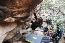 Bouldering in Hueco Tanks on 01/20/2019 with Blue Lizard Climbing and Yoga

Filename: SRM_20190120_1047580.jpg
Aperture: f/3.5
Shutter Speed: 1/160
Body: Canon EOS-1D Mark II
Lens: Canon EF 16-35mm f/2.8 L