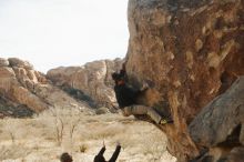 Bouldering in Hueco Tanks on 01/21/2019 with Blue Lizard Climbing and Yoga

Filename: SRM_20190121_1031310.jpg
Aperture: f/5.6
Shutter Speed: 1/250
Body: Canon EOS-1D Mark II
Lens: Canon EF 50mm f/1.8 II