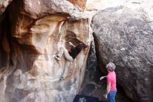 Bouldering in Hueco Tanks on 01/21/2019 with Blue Lizard Climbing and Yoga

Filename: SRM_20190121_1228130.jpg
Aperture: f/3.5
Shutter Speed: 1/200
Body: Canon EOS-1D Mark II
Lens: Canon EF 16-35mm f/2.8 L