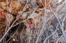 Bouldering in Hueco Tanks on 01/21/2019 with Blue Lizard Climbing and Yoga

Filename: SRM_20190121_1232050.jpg
Aperture: f/6.3
Shutter Speed: 1/250
Body: Canon EOS-1D Mark II
Lens: Canon EF 16-35mm f/2.8 L