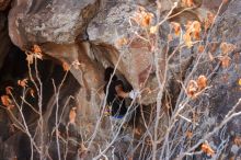 Bouldering in Hueco Tanks on 01/21/2019 with Blue Lizard Climbing and Yoga

Filename: SRM_20190121_1236181.jpg
Aperture: f/6.3
Shutter Speed: 1/250
Body: Canon EOS-1D Mark II
Lens: Canon EF 16-35mm f/2.8 L