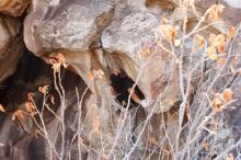 Bouldering in Hueco Tanks on 01/21/2019 with Blue Lizard Climbing and Yoga

Filename: SRM_20190121_1236221.jpg
Aperture: f/5.0
Shutter Speed: 1/250
Body: Canon EOS-1D Mark II
Lens: Canon EF 16-35mm f/2.8 L