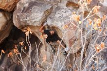 Bouldering in Hueco Tanks on 01/21/2019 with Blue Lizard Climbing and Yoga

Filename: SRM_20190121_1236291.jpg
Aperture: f/5.6
Shutter Speed: 1/250
Body: Canon EOS-1D Mark II
Lens: Canon EF 16-35mm f/2.8 L