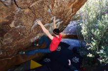 Bouldering in Hueco Tanks on 01/26/2019 with Blue Lizard Climbing and Yoga

Filename: SRM_20190126_1207570.jpg
Aperture: f/4.0
Shutter Speed: 1/250
Body: Canon EOS-1D Mark II
Lens: Canon EF 16-35mm f/2.8 L