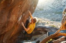 Bouldering in Hueco Tanks on 01/26/2019 with Blue Lizard Climbing and Yoga

Filename: SRM_20190126_1812130.jpg
Aperture: f/4.0
Shutter Speed: 1/250
Body: Canon EOS-1D Mark II
Lens: Canon EF 50mm f/1.8 II