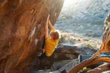 Bouldering in Hueco Tanks on 01/26/2019 with Blue Lizard Climbing and Yoga

Filename: SRM_20190126_1812160.jpg
Aperture: f/4.0
Shutter Speed: 1/250
Body: Canon EOS-1D Mark II
Lens: Canon EF 50mm f/1.8 II