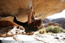 Bouldering in Hueco Tanks on 01/27/2019 with Blue Lizard Climbing and Yoga

Filename: SRM_20190127_1011300.jpg
Aperture: f/7.1
Shutter Speed: 1/250
Body: Canon EOS-1D Mark II
Lens: Canon EF 16-35mm f/2.8 L