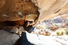 Bouldering in Hueco Tanks on 01/27/2019 with Blue Lizard Climbing and Yoga

Filename: SRM_20190127_1019020.jpg
Aperture: f/5.0
Shutter Speed: 1/250
Body: Canon EOS-1D Mark II
Lens: Canon EF 16-35mm f/2.8 L
