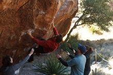 Bouldering in Hueco Tanks on 02/03/2019 with Blue Lizard Climbing and Yoga

Filename: SRM_20190203_1253300.jpg
Aperture: f/3.5
Shutter Speed: 1/400
Body: Canon EOS-1D Mark II
Lens: Canon EF 50mm f/1.8 II