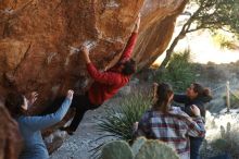 Bouldering in Hueco Tanks on 02/03/2019 with Blue Lizard Climbing and Yoga

Filename: SRM_20190203_1255180.jpg
Aperture: f/3.5
Shutter Speed: 1/250
Body: Canon EOS-1D Mark II
Lens: Canon EF 50mm f/1.8 II