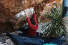 Bouldering in Hueco Tanks on 02/03/2019 with Blue Lizard Climbing and Yoga

Filename: SRM_20190203_1342310.jpg
Aperture: f/4.0
Shutter Speed: 1/250
Body: Canon EOS-1D Mark II
Lens: Canon EF 50mm f/1.8 II