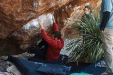 Bouldering in Hueco Tanks on 02/03/2019 with Blue Lizard Climbing and Yoga

Filename: SRM_20190203_1342330.jpg
Aperture: f/4.0
Shutter Speed: 1/250
Body: Canon EOS-1D Mark II
Lens: Canon EF 50mm f/1.8 II