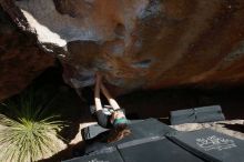 Bouldering in Hueco Tanks on 02/03/2019 with Blue Lizard Climbing and Yoga

Filename: SRM_20190203_1423280.jpg
Aperture: f/5.6
Shutter Speed: 1/250
Body: Canon EOS-1D Mark II
Lens: Canon EF 16-35mm f/2.8 L