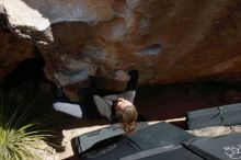 Bouldering in Hueco Tanks on 02/03/2019 with Blue Lizard Climbing and Yoga

Filename: SRM_20190203_1427250.jpg
Aperture: f/5.6
Shutter Speed: 1/250
Body: Canon EOS-1D Mark II
Lens: Canon EF 16-35mm f/2.8 L