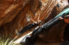 Bouldering in Hueco Tanks on 02/03/2019 with Blue Lizard Climbing and Yoga

Filename: SRM_20190203_1444170.jpg
Aperture: f/5.6
Shutter Speed: 1/250
Body: Canon EOS-1D Mark II
Lens: Canon EF 16-35mm f/2.8 L