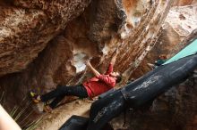 Bouldering in Hueco Tanks on 02/03/2019 with Blue Lizard Climbing and Yoga

Filename: SRM_20190203_1446120.jpg
Aperture: f/5.6
Shutter Speed: 1/250
Body: Canon EOS-1D Mark II
Lens: Canon EF 16-35mm f/2.8 L