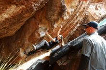 Bouldering in Hueco Tanks on 02/03/2019 with Blue Lizard Climbing and Yoga

Filename: SRM_20190203_1453040.jpg
Aperture: f/5.6
Shutter Speed: 1/320
Body: Canon EOS-1D Mark II
Lens: Canon EF 16-35mm f/2.8 L