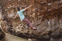 Bouldering in Hueco Tanks on 02/02/2019 with Blue Lizard Climbing and Yoga

Filename: SRM_20190202_1447410.jpg
Aperture: f/2.8
Shutter Speed: 1/100
Body: Canon EOS-1D Mark II
Lens: Canon EF 50mm f/1.8 II