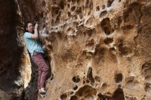 Bouldering in Hueco Tanks on 02/02/2019 with Blue Lizard Climbing and Yoga

Filename: SRM_20190202_1451370.jpg
Aperture: f/2.8
Shutter Speed: 1/200
Body: Canon EOS-1D Mark II
Lens: Canon EF 50mm f/1.8 II