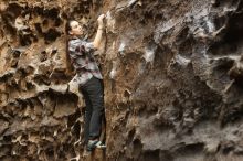 Bouldering in Hueco Tanks on 02/02/2019 with Blue Lizard Climbing and Yoga

Filename: SRM_20190202_1504290.jpg
Aperture: f/3.5
Shutter Speed: 1/160
Body: Canon EOS-1D Mark II
Lens: Canon EF 50mm f/1.8 II