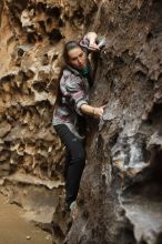 Bouldering in Hueco Tanks on 02/02/2019 with Blue Lizard Climbing and Yoga

Filename: SRM_20190202_1505260.jpg
Aperture: f/3.5
Shutter Speed: 1/200
Body: Canon EOS-1D Mark II
Lens: Canon EF 50mm f/1.8 II