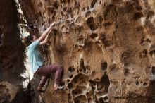 Bouldering in Hueco Tanks on 02/02/2019 with Blue Lizard Climbing and Yoga

Filename: SRM_20190202_1508450.jpg
Aperture: f/3.5
Shutter Speed: 1/125
Body: Canon EOS-1D Mark II
Lens: Canon EF 50mm f/1.8 II