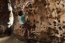 Bouldering in Hueco Tanks on 02/02/2019 with Blue Lizard Climbing and Yoga

Filename: SRM_20190202_1512510.jpg
Aperture: f/3.5
Shutter Speed: 1/160
Body: Canon EOS-1D Mark II
Lens: Canon EF 50mm f/1.8 II