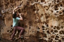 Bouldering in Hueco Tanks on 02/02/2019 with Blue Lizard Climbing and Yoga

Filename: SRM_20190202_1513020.jpg
Aperture: f/3.5
Shutter Speed: 1/160
Body: Canon EOS-1D Mark II
Lens: Canon EF 50mm f/1.8 II