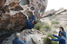 Bouldering in Hueco Tanks on 02/09/2019 with Blue Lizard Climbing and Yoga

Filename: SRM_20190209_1010300.jpg
Aperture: f/3.5
Shutter Speed: 1/400
Body: Canon EOS-1D Mark II
Lens: Canon EF 50mm f/1.8 II