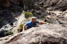 Bouldering in Hueco Tanks on 02/09/2019 with Blue Lizard Climbing and Yoga

Filename: SRM_20190209_1223130.jpg
Aperture: f/11.0
Shutter Speed: 1/160
Body: Canon EOS-1D Mark II
Lens: Canon EF 16-35mm f/2.8 L