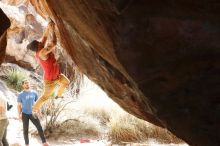 Bouldering in Hueco Tanks on 02/09/2019 with Blue Lizard Climbing and Yoga

Filename: SRM_20190209_1303080.jpg
Aperture: f/4.0
Shutter Speed: 1/320
Body: Canon EOS-1D Mark II
Lens: Canon EF 50mm f/1.8 II