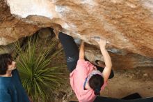 Bouldering in Hueco Tanks on 02/09/2019 with Blue Lizard Climbing and Yoga

Filename: SRM_20190209_1519150.jpg
Aperture: f/4.0
Shutter Speed: 1/320
Body: Canon EOS-1D Mark II
Lens: Canon EF 50mm f/1.8 II